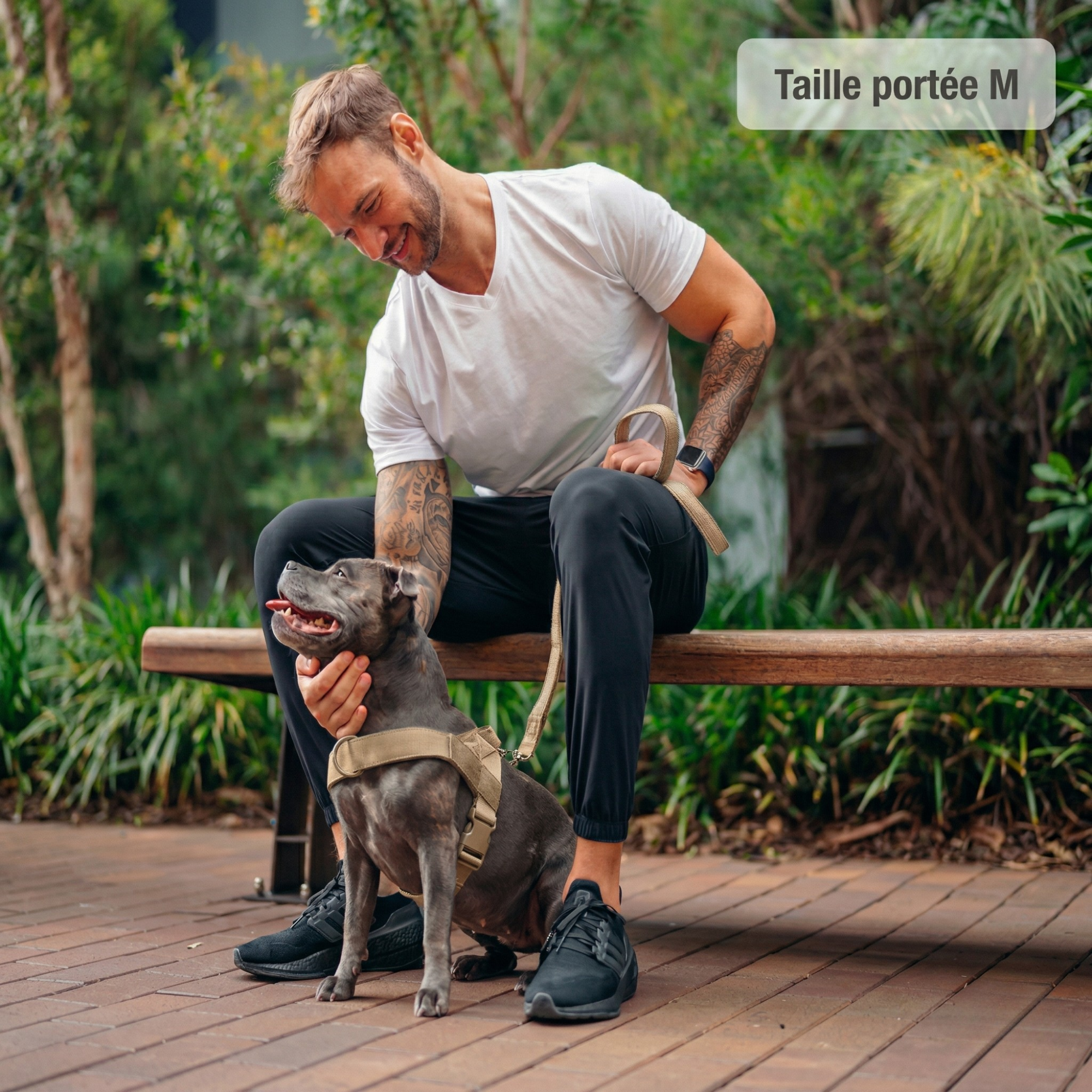 PAWKIT — Fini les promenades où votre chien tire