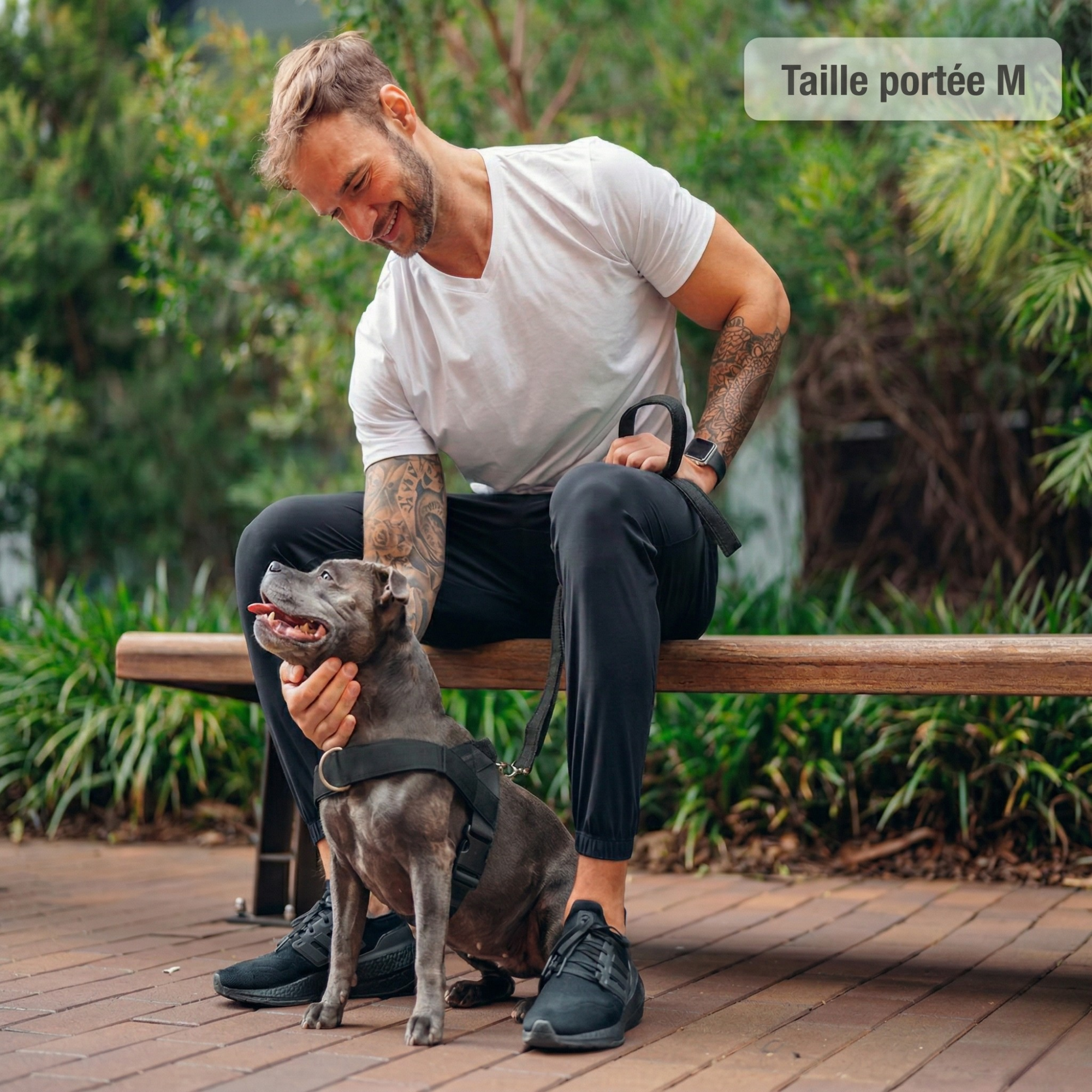 PAWKIT — Fini les promenades où votre chien tire