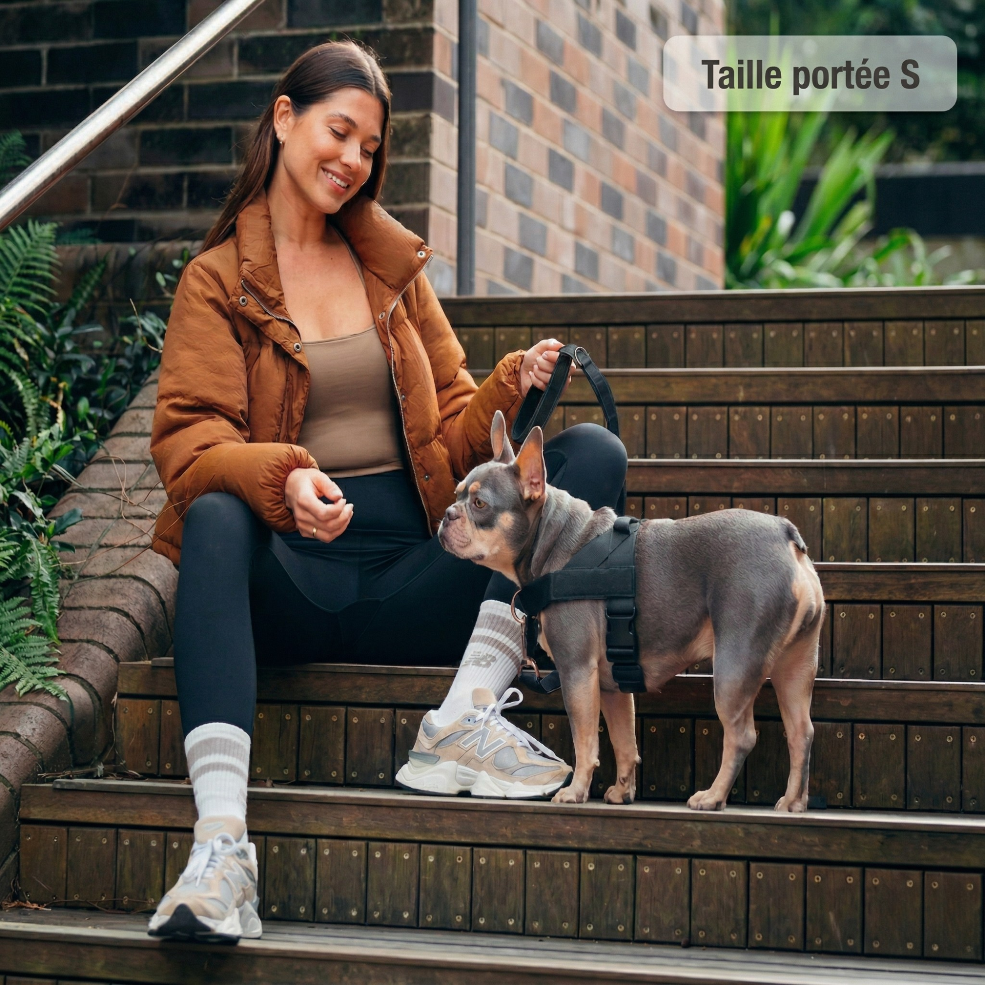 PAWKIT — Fini les promenades où votre chien tire